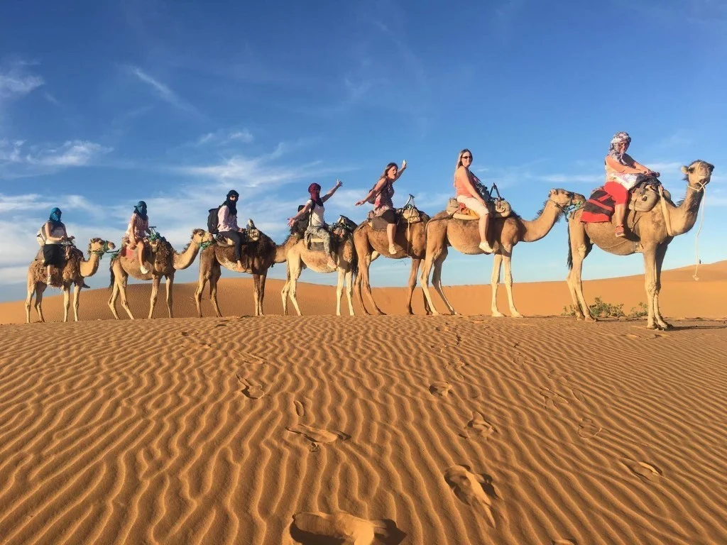 Camel trek in Agafay Desert