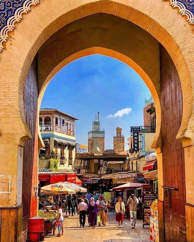 Fes medina view